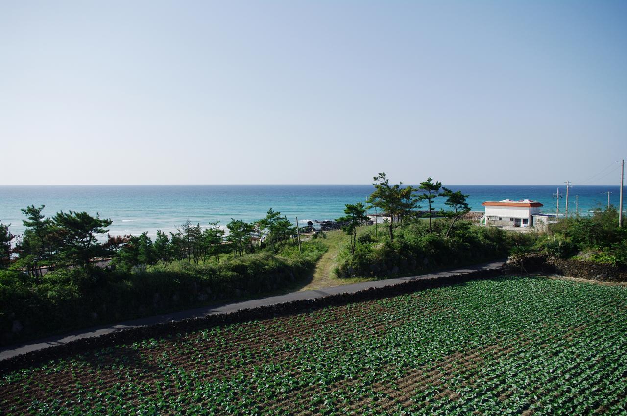 6Pm Pension Jeju Dış mekan fotoğraf