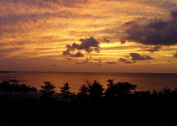 6Pm Pension Jeju Dış mekan fotoğraf
