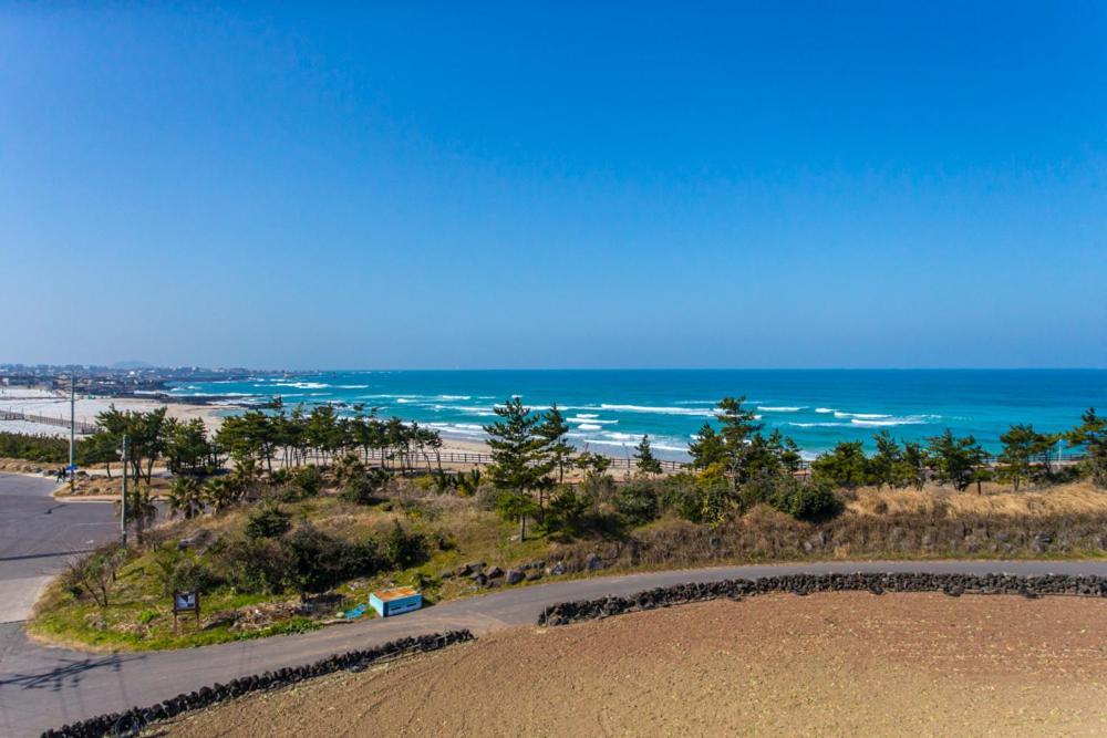6Pm Pension Jeju Dış mekan fotoğraf
